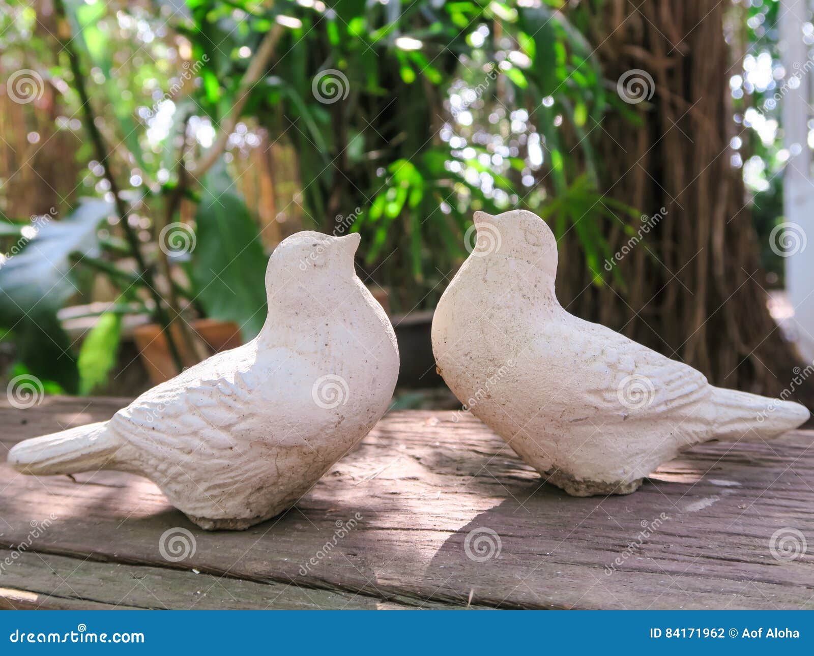 Birds in love stock photo. Image of flower, nature, crocus 84171962