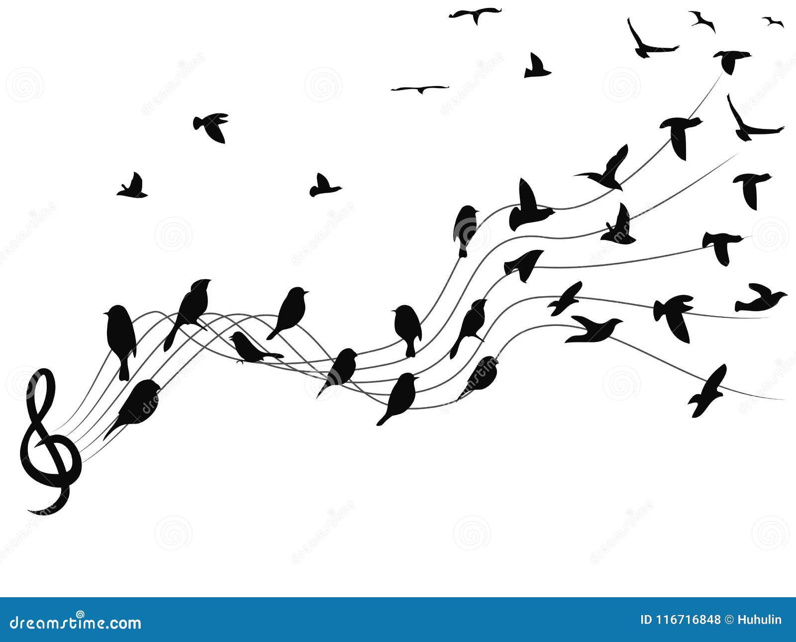 Birds Musical Notes Background Stock Vector Illustration of melody
