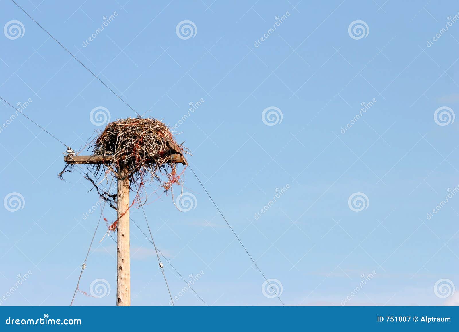 Birds nest on pole stock image. Image of power, nature 751887