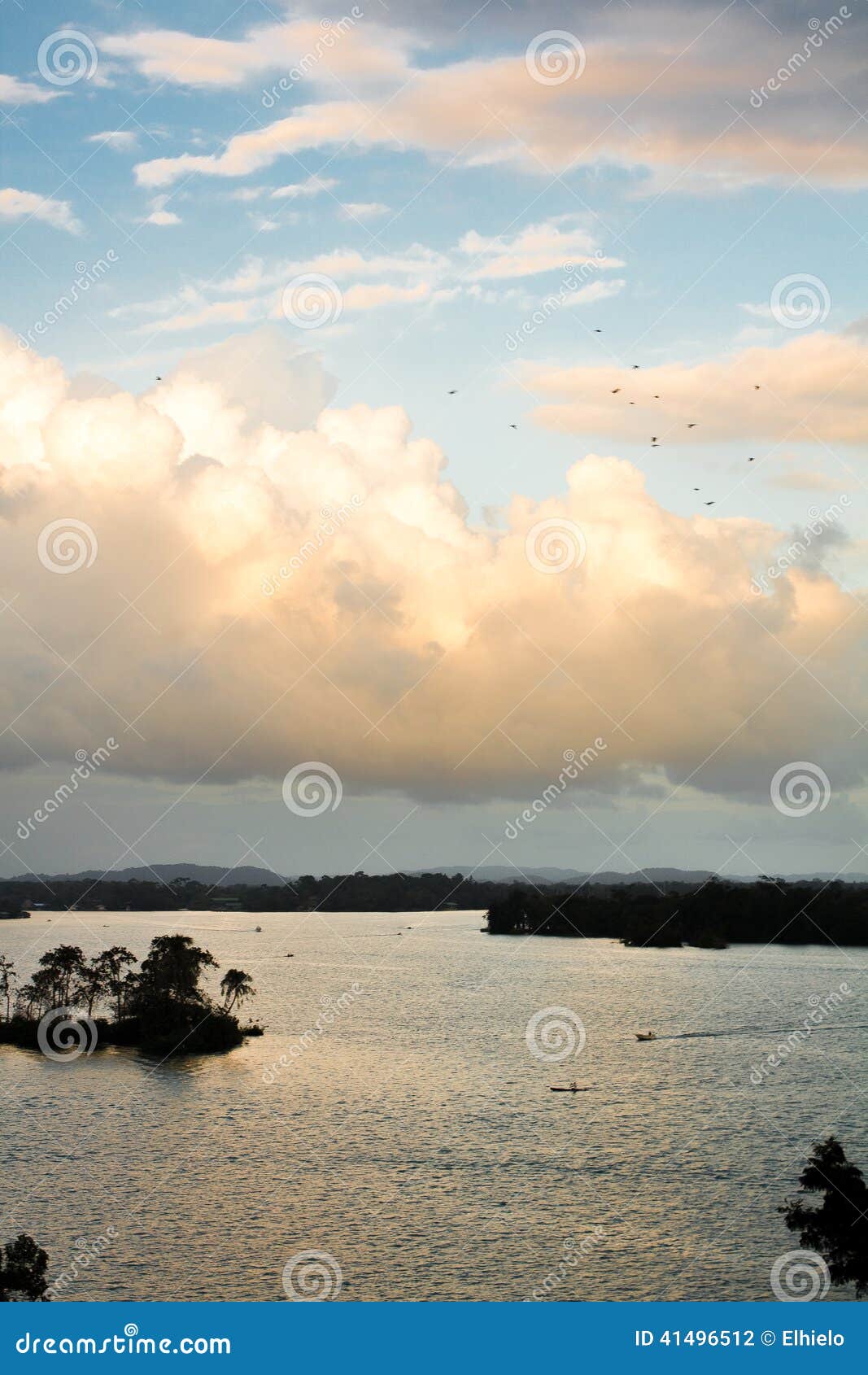birds over water in rio dulce guatemala