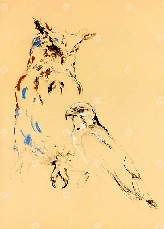 Birds of prey stock illustration. Illustration of painting - 26804633