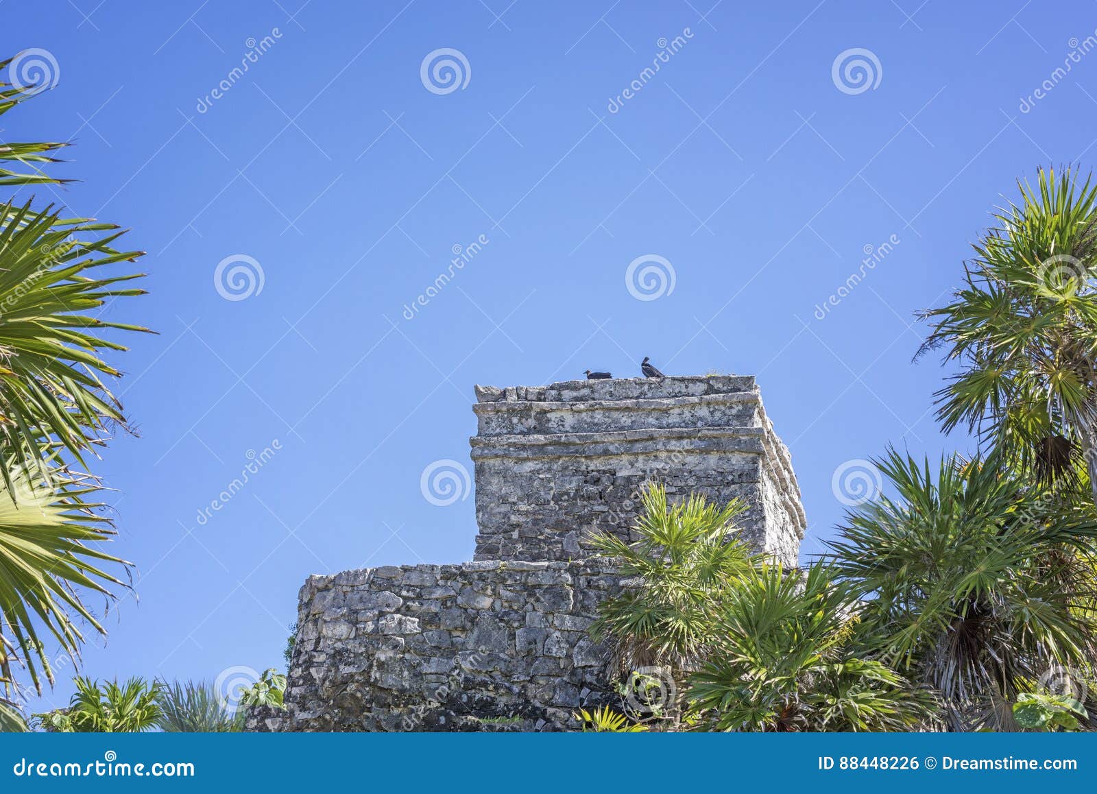 birds resting on acient mayan building of tulum ruins mexico with tropical plants in foreground and space for text or copy space