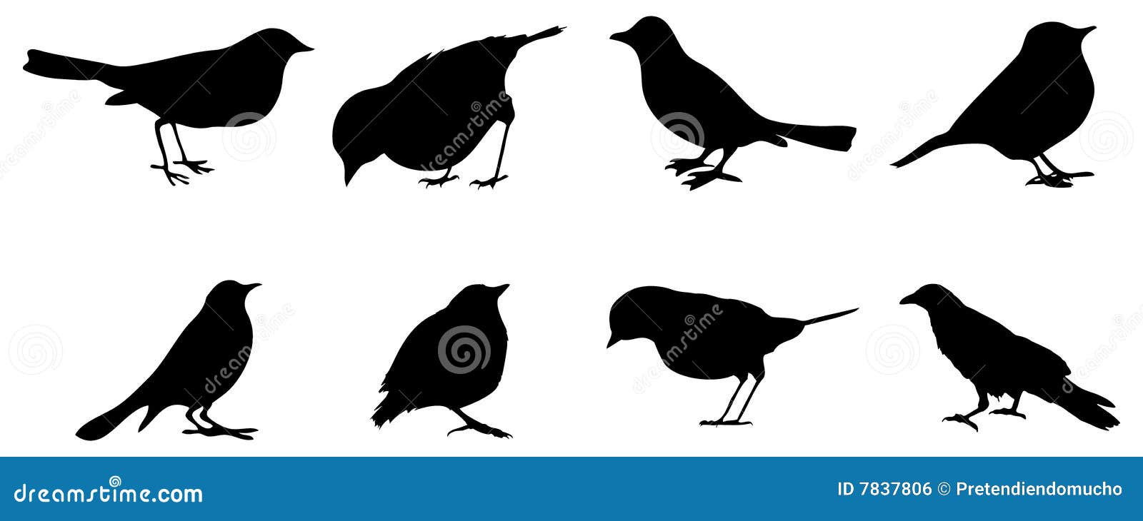 8 birds silhouettes on black.