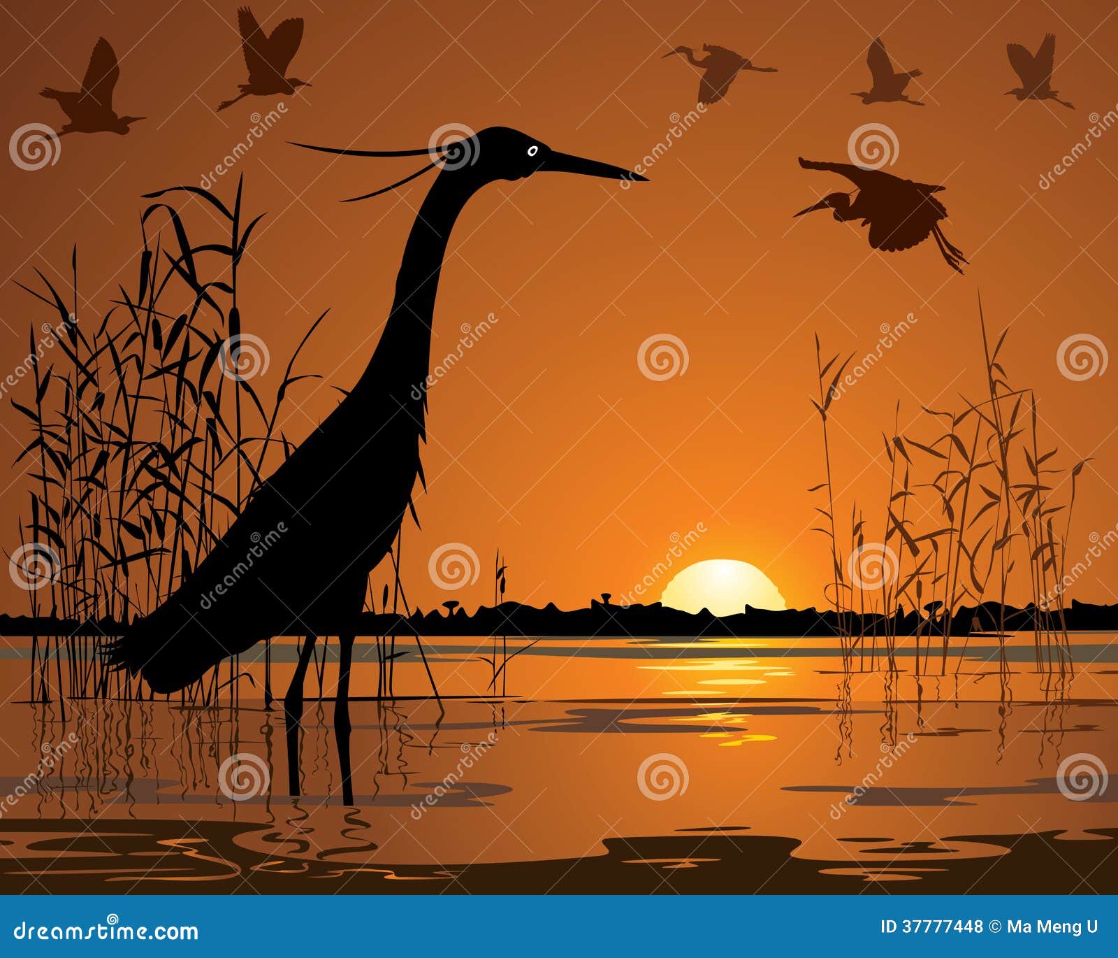 birds in sunset swamp 