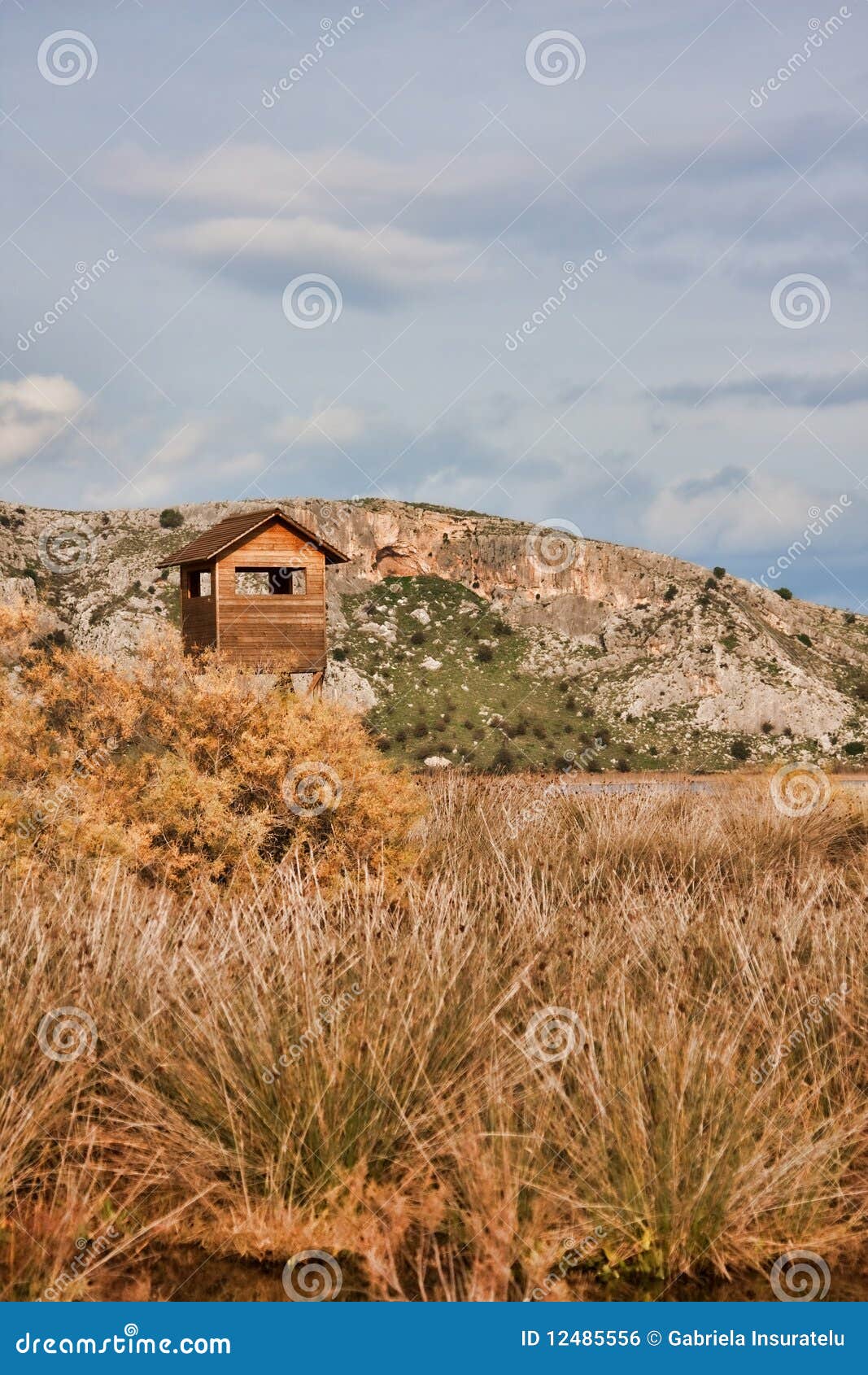 birdwatching tower