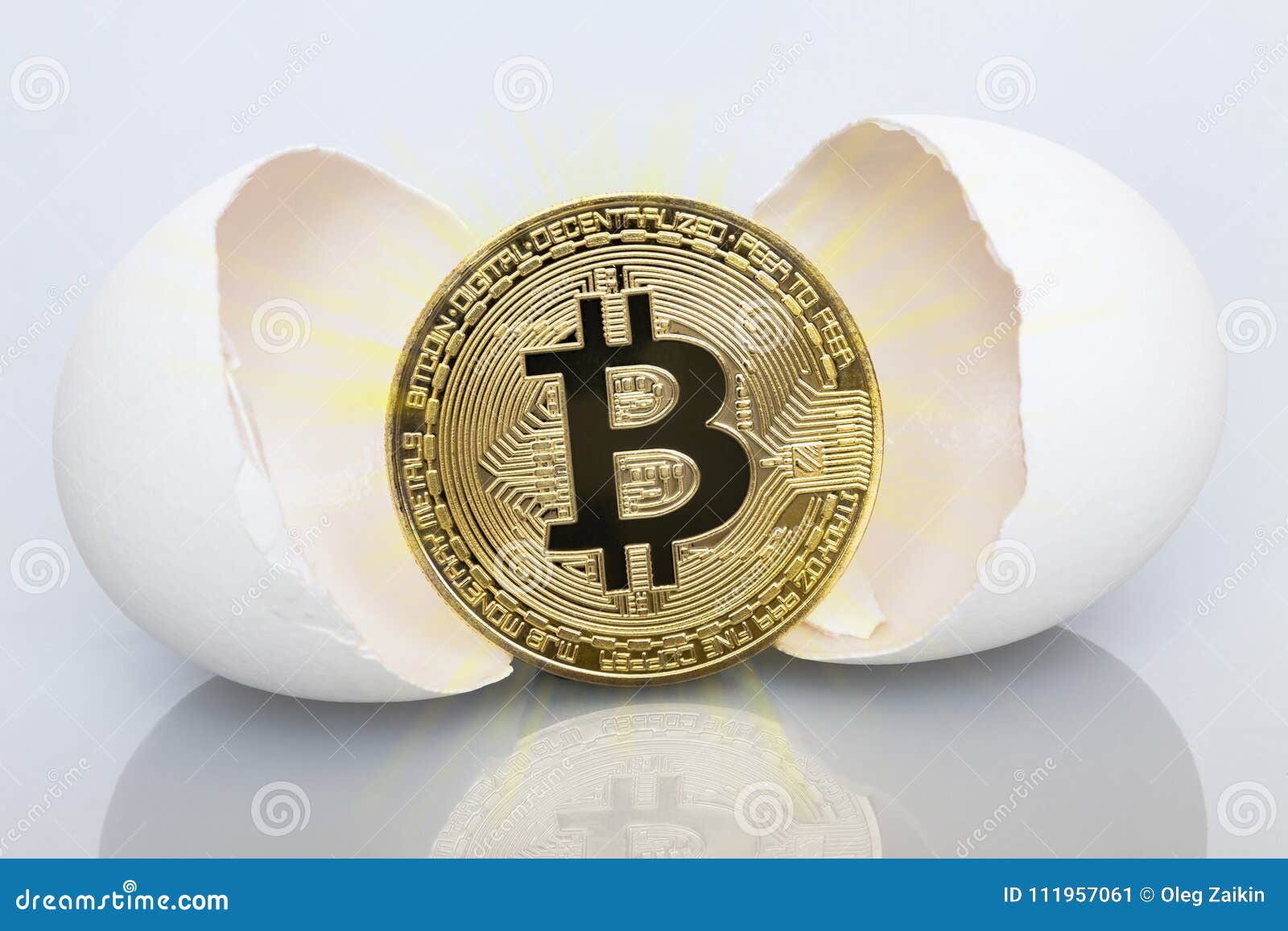 Hatching Bitcoin from the Egg Stock Image - Image of eggs, chain: 111957061