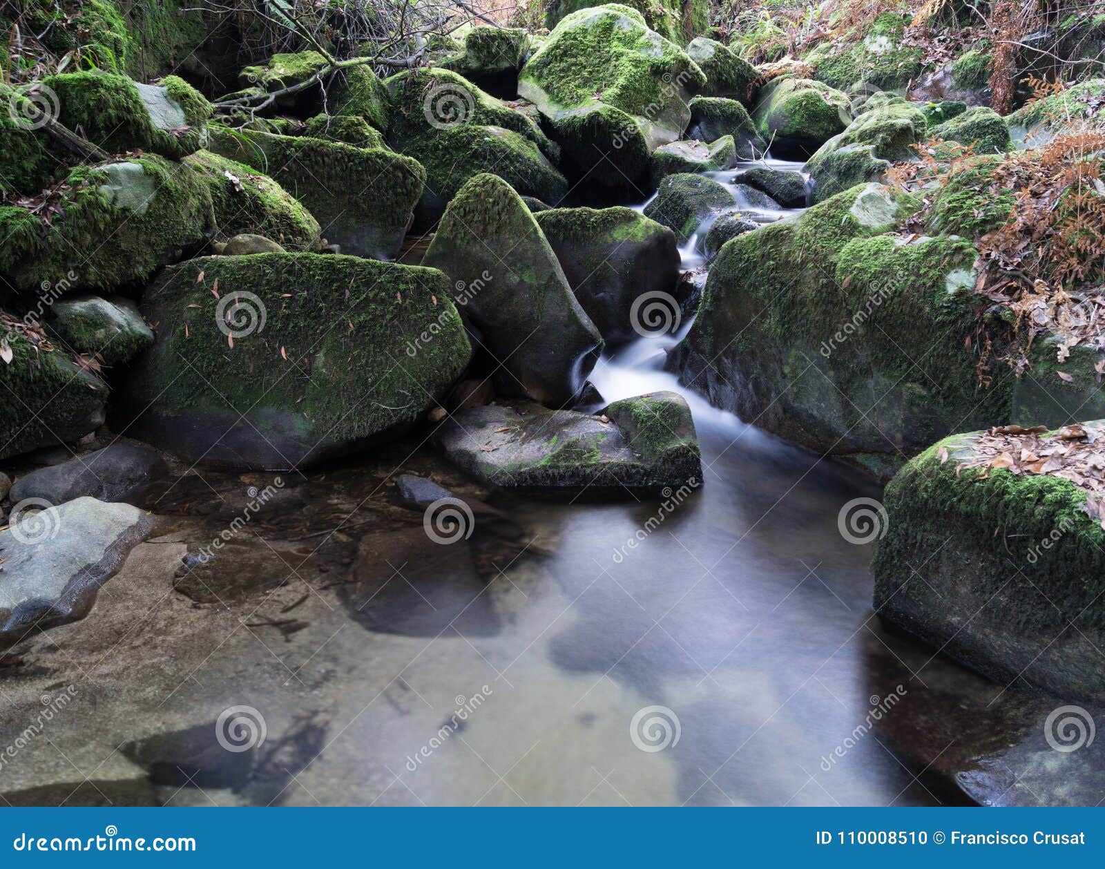 Birth Of Water In A River In Gondomar Stock Photo - Image of background,  cascade: 110008510