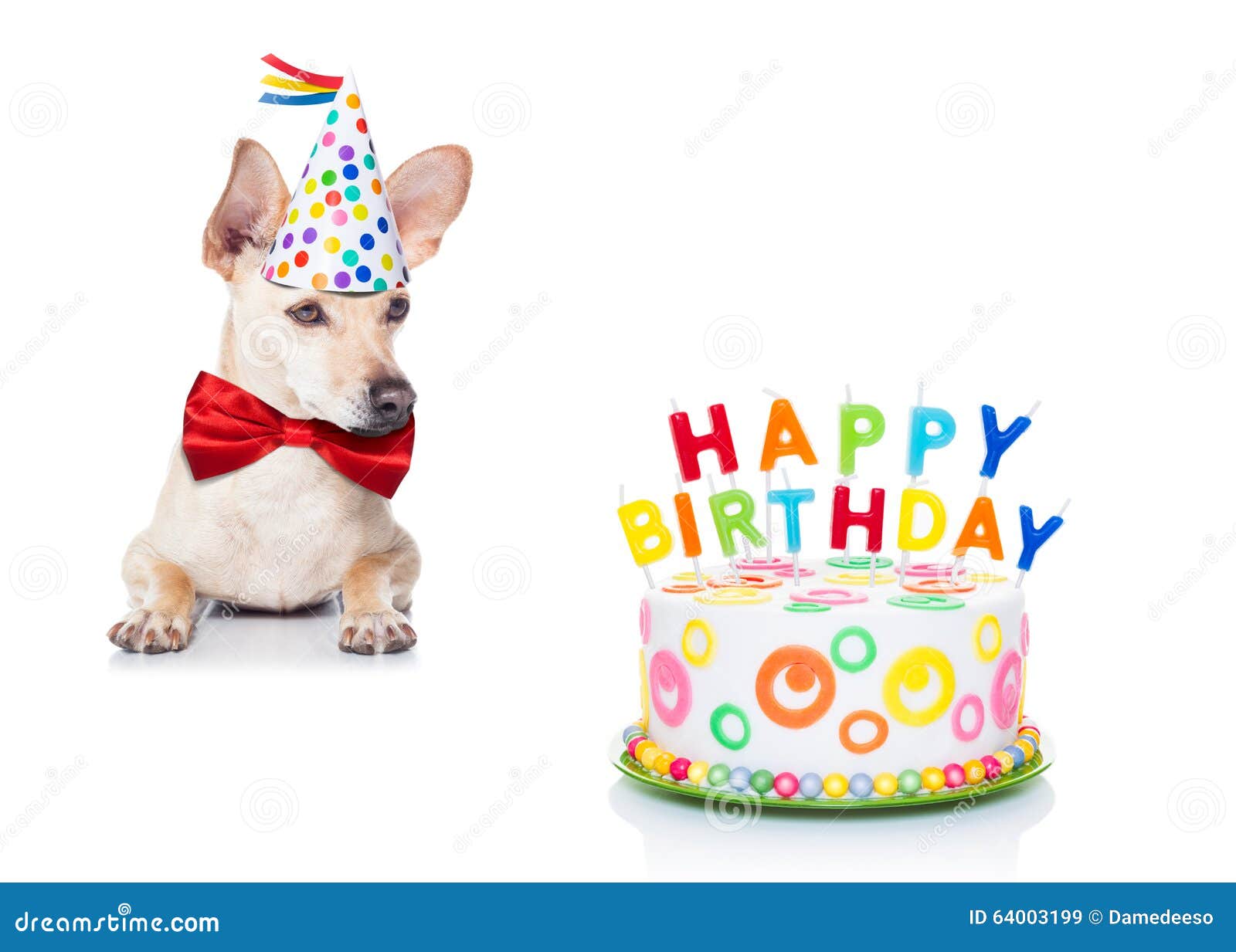 Birthday Cake Dog Stock Photo - Image: 640031991300 x 1018