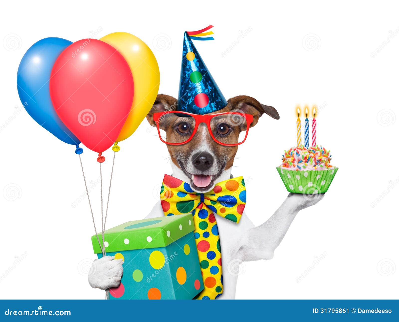 14,734 Birthday Dog Stock Photos - Free & Royalty-Free Stock Photos from Dreamstime 14,734 Birthday Dog Stock Photos - Free & Royalty-Free Stock Photos from Dreamstime