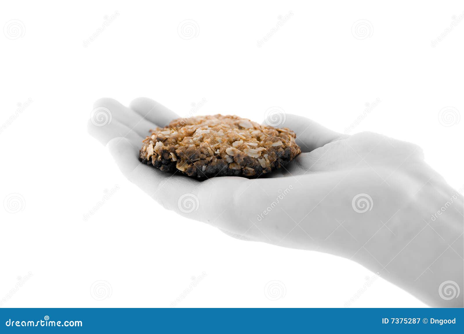 Biscuit on Palm stock image. Image of fattening, flavor 7375287