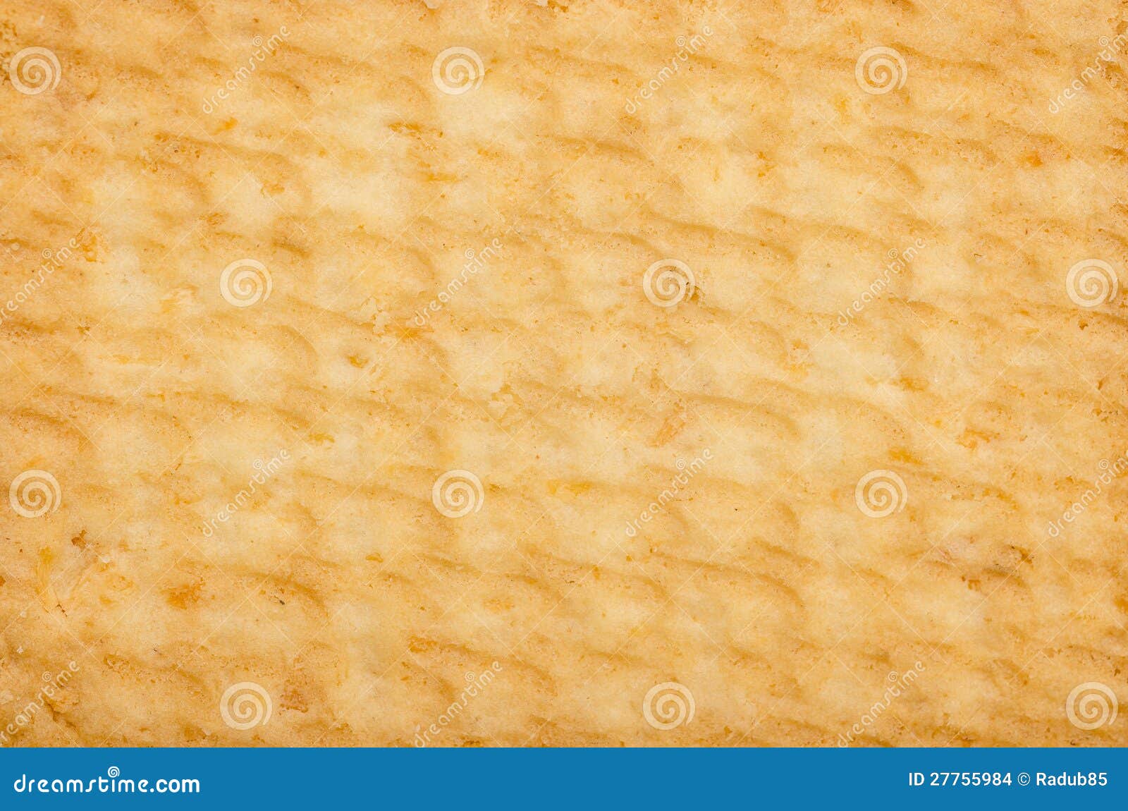 biscuit texture
