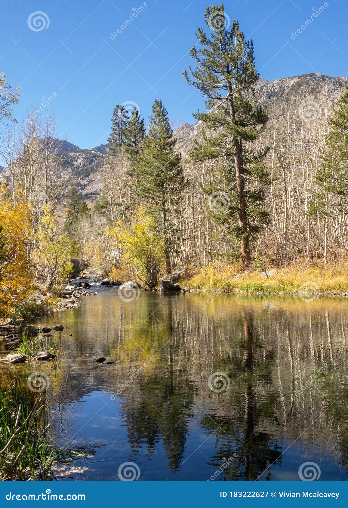 bishop creek area of eastern sierra`s in autumn