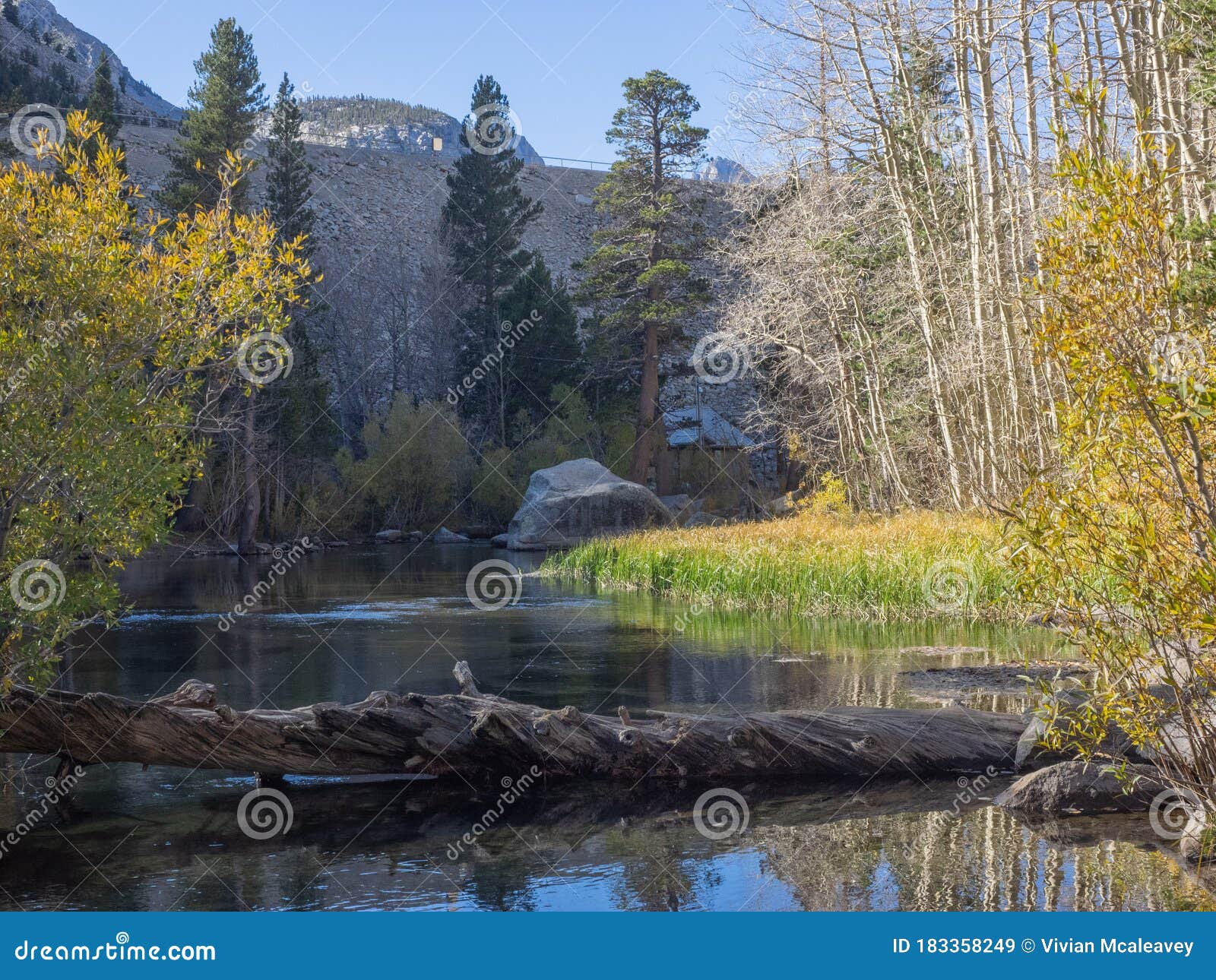 bishop creek area of eastern sierra`s in autumn
