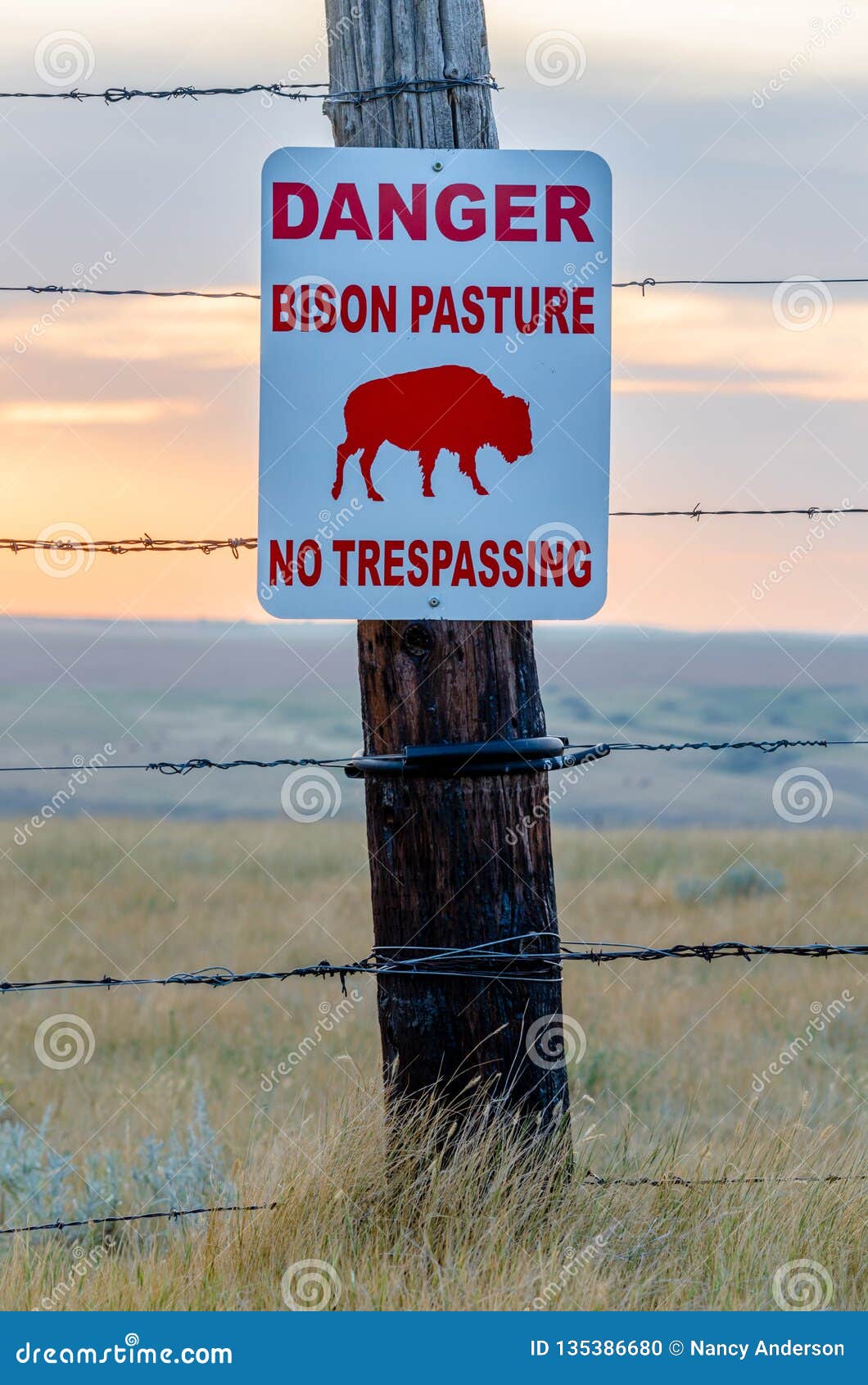 bison crossing sign in a bison pasture near swift current, saskatchewan