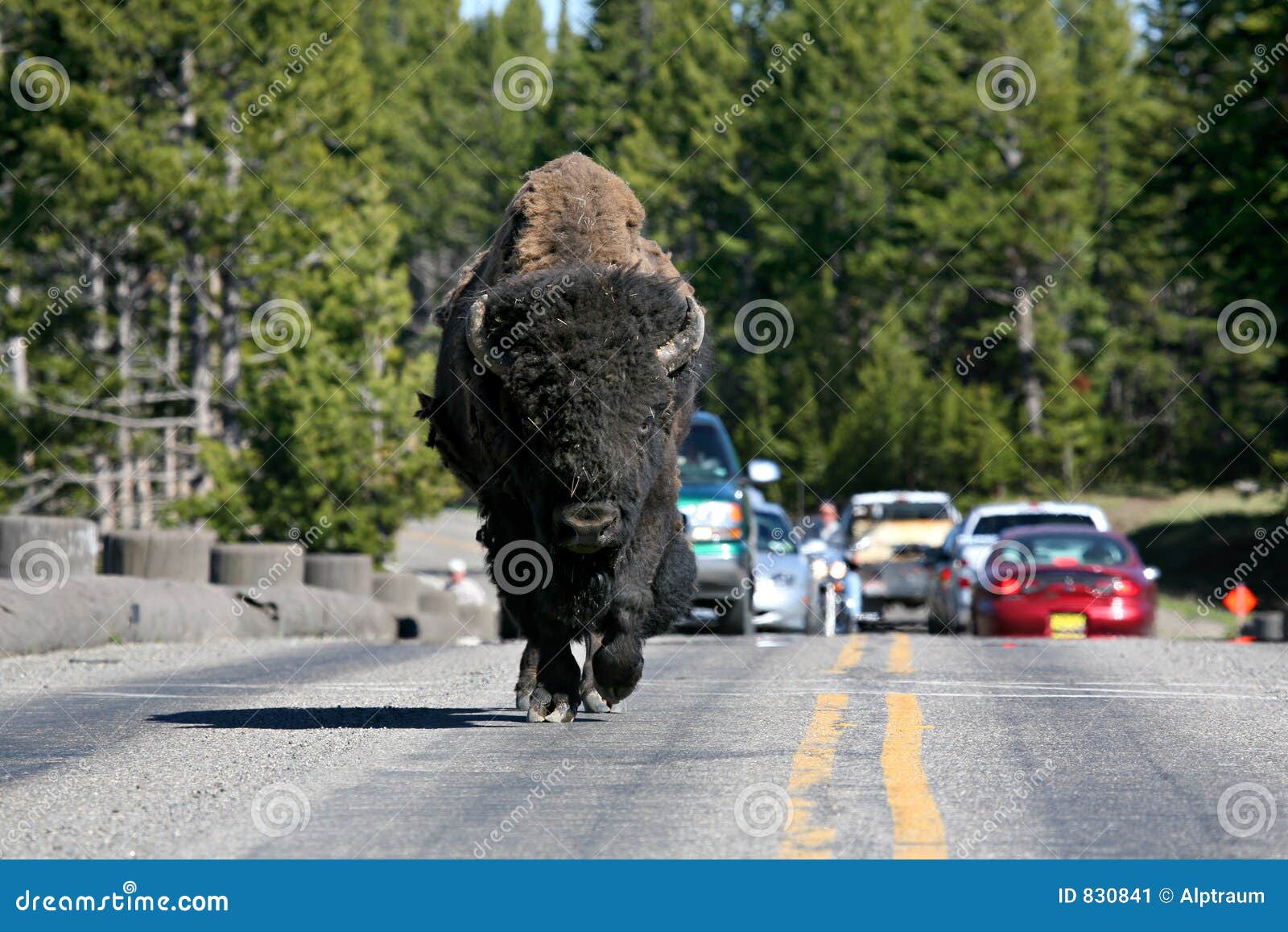 1,472 Yellowstone National Park Fishing Stock Photos - Free & Royalty-Free  Stock Photos from Dreamstime