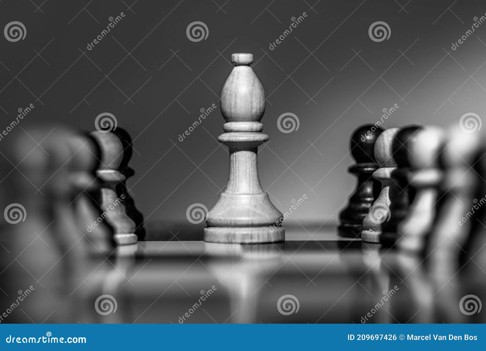 Bispos Preto E Branco Da Xadrez Imagem de Stock - Imagem de xadrez