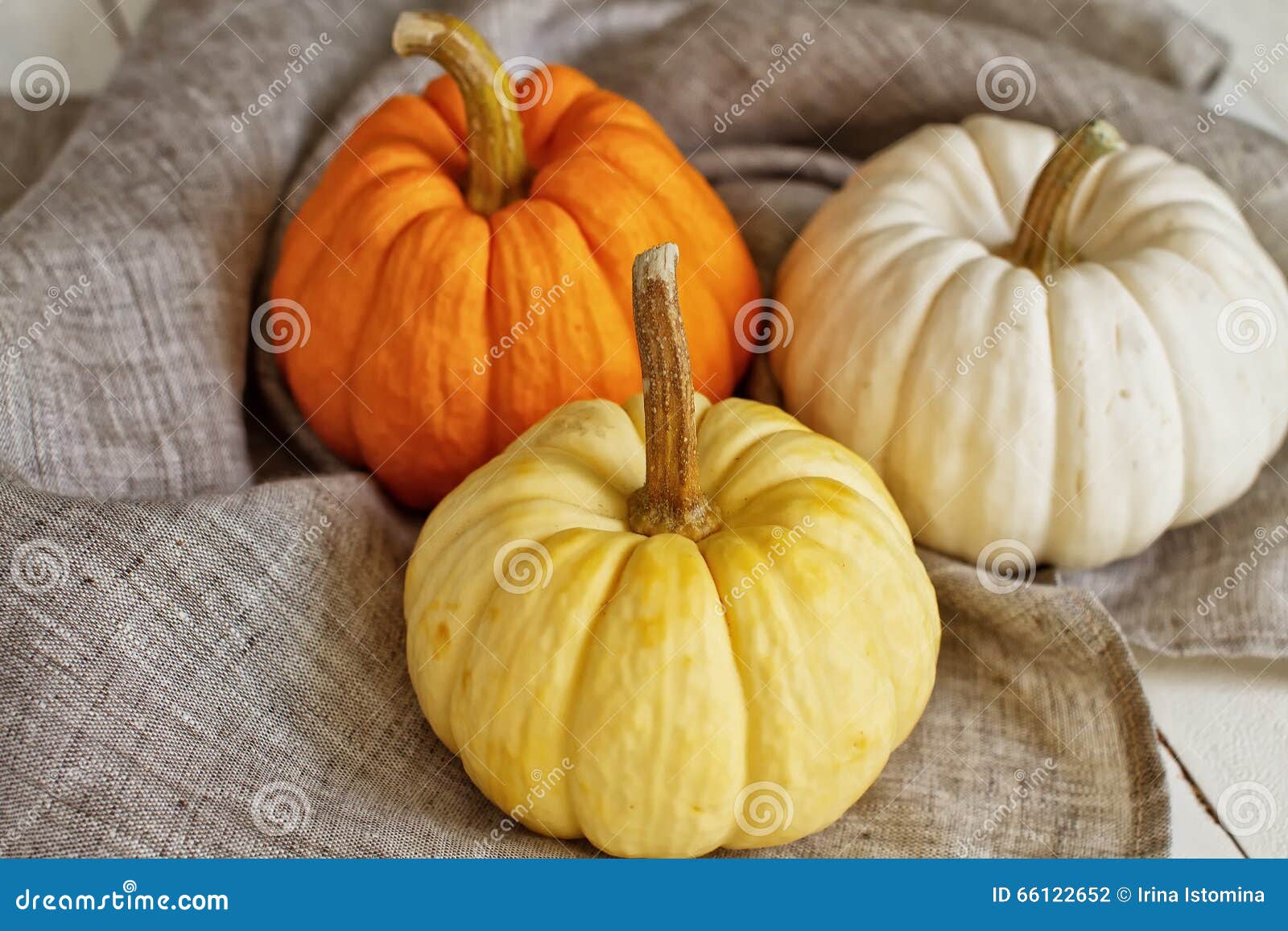 Bit multi-colored pumpkins. Yellow, orange and white