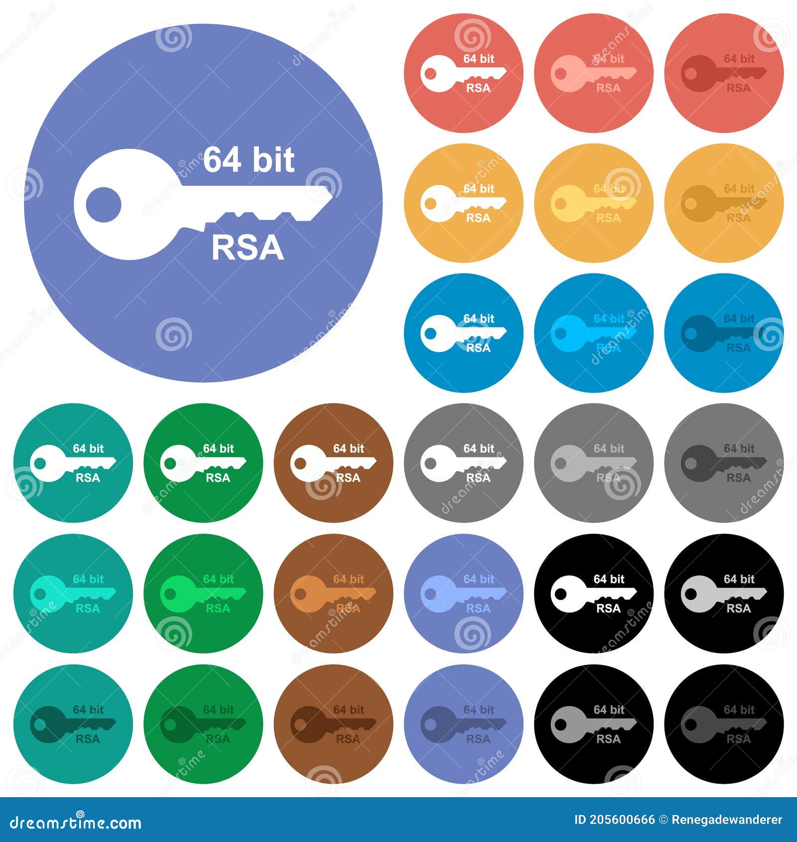 64 bit rsa encryption round flat multi colored icons