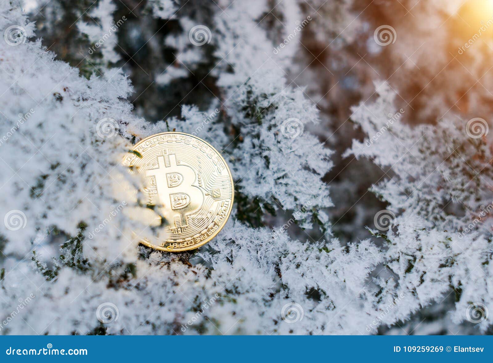 Bitcoin. Bitcoin On Golden Snow, In The Background. The ...