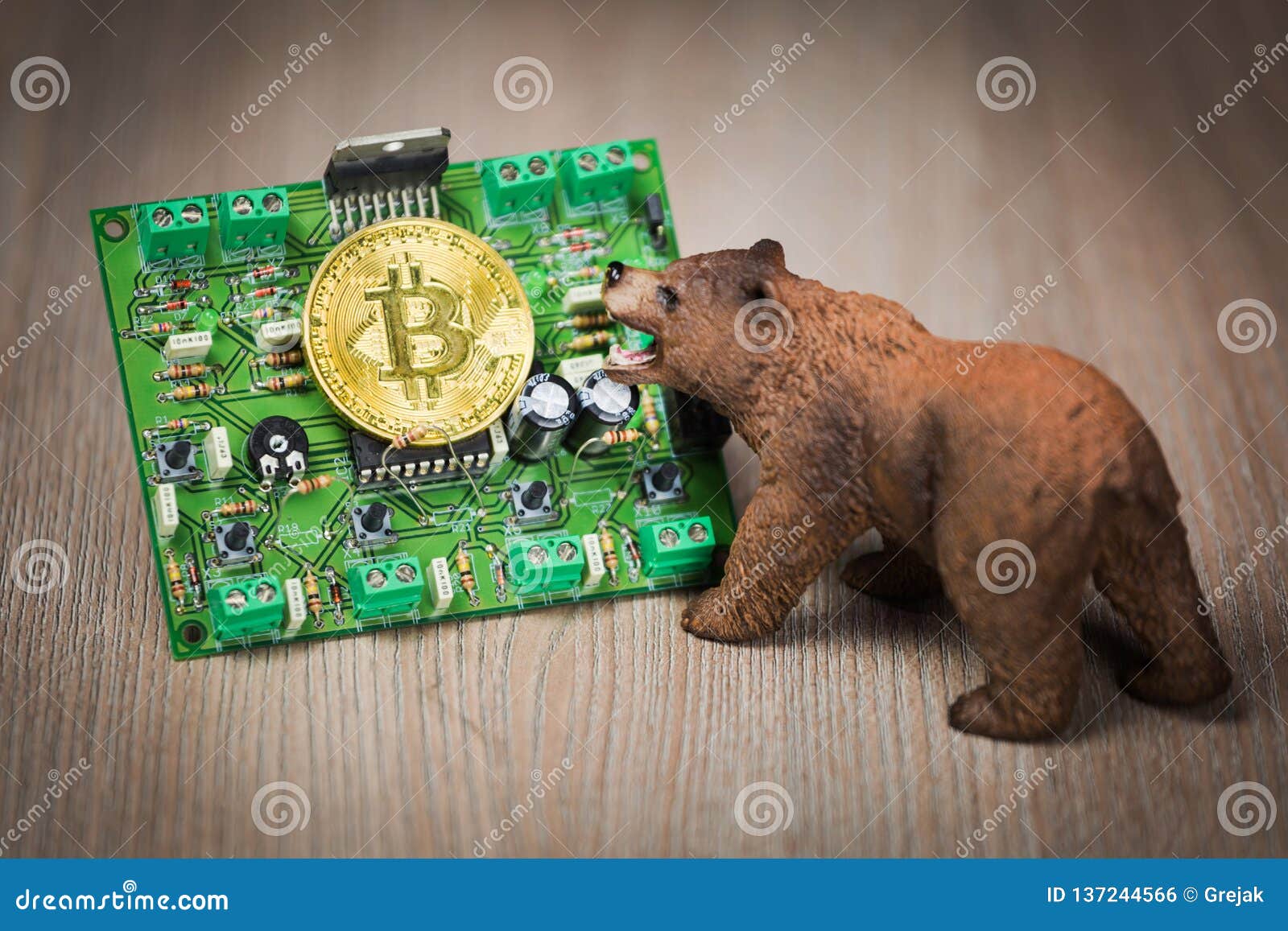 when did crypto bear market start