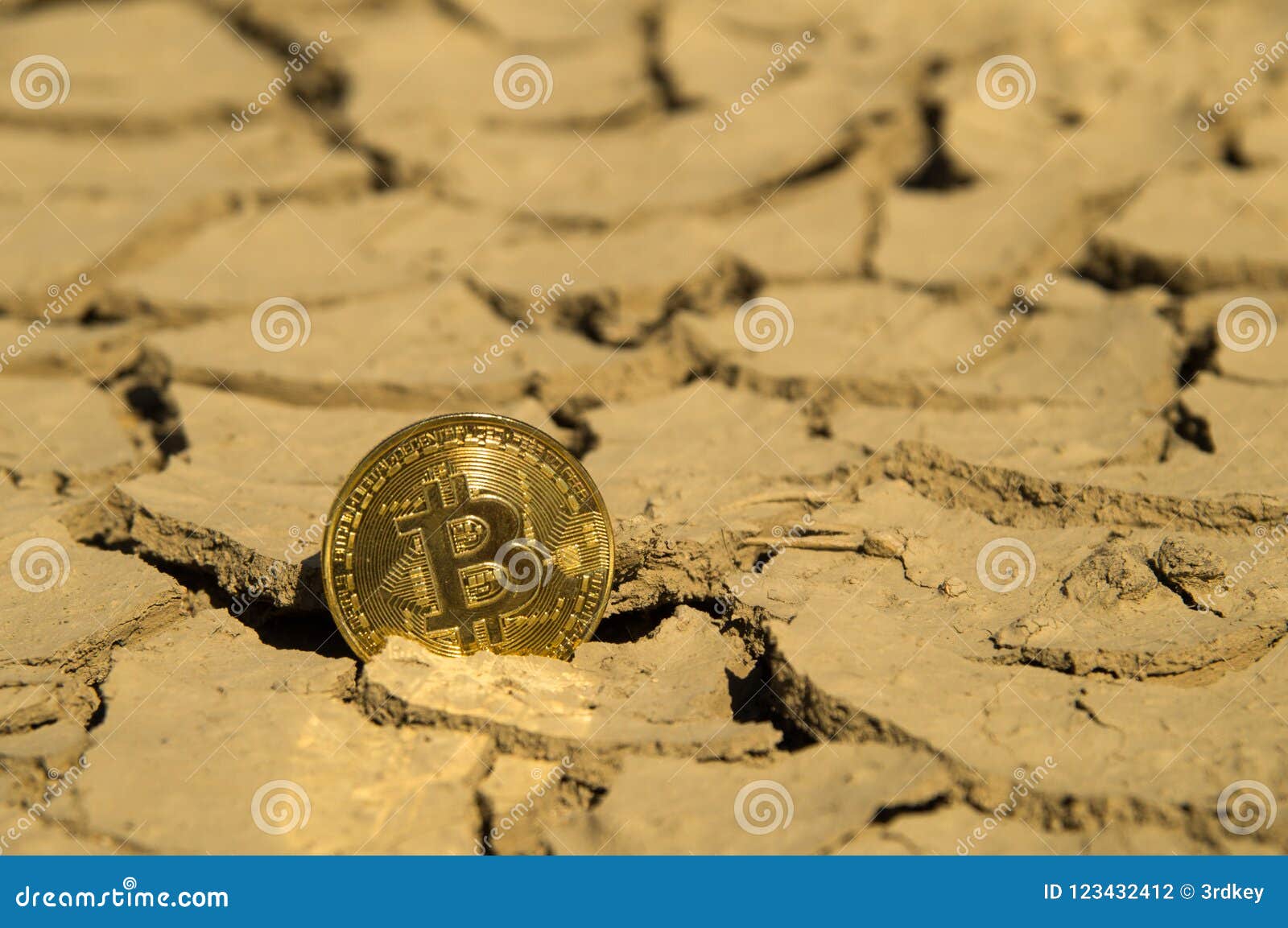 Bitcoin Crypto Currency Hitting Bottom Dry Support Stock Photo - Image of  bear, crack: 123432412