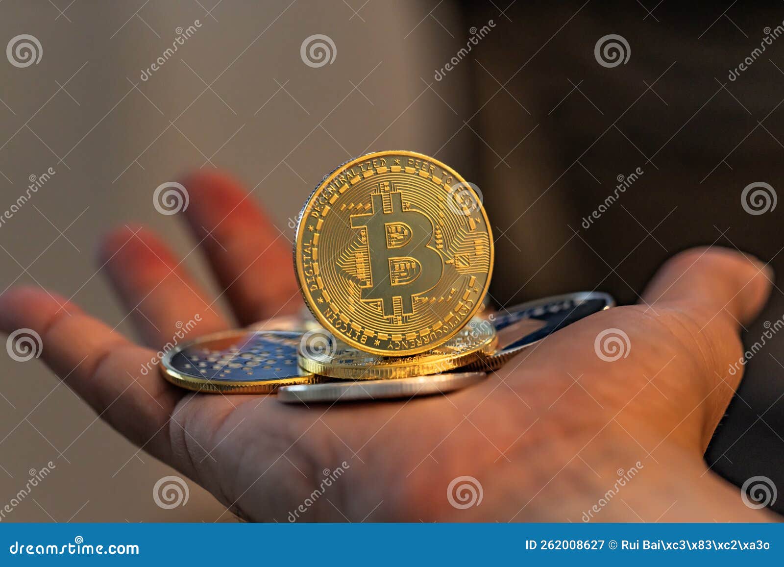 Bitcoin & Cryptocurrency - the Future of Money and Finance Stock Image -  Image of exchange, digital: 262008627