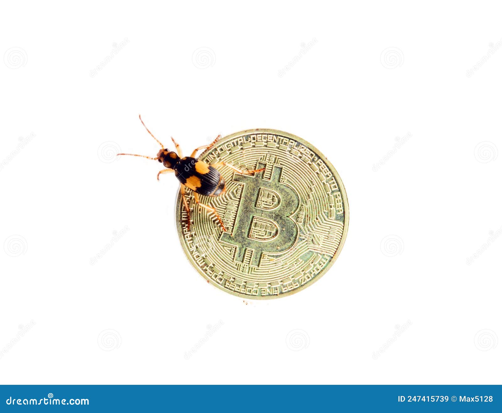 Bitcoin Cryptocurrency and Virtual Real Poison Bug Stock Image - Image of  bank, network: 247415739