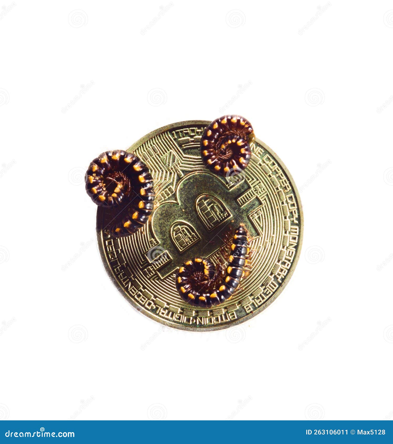 Bitcoin Cryptocurrency and Virtual Real Poison Bug Stock Image - Image of  exchange, monetary: 263106011