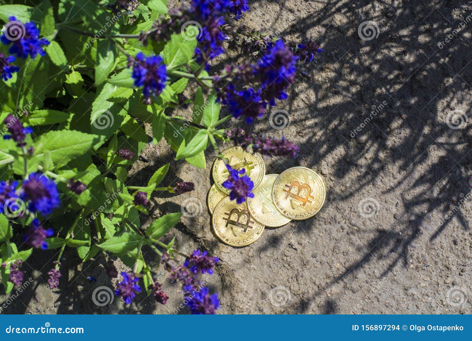 Bitcoin and Flowers on Background with Copy Space for Text. Trading