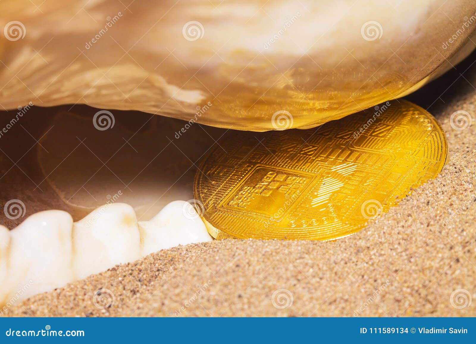 Bitcoin shell 6 stock photo. Image of international - 111589134