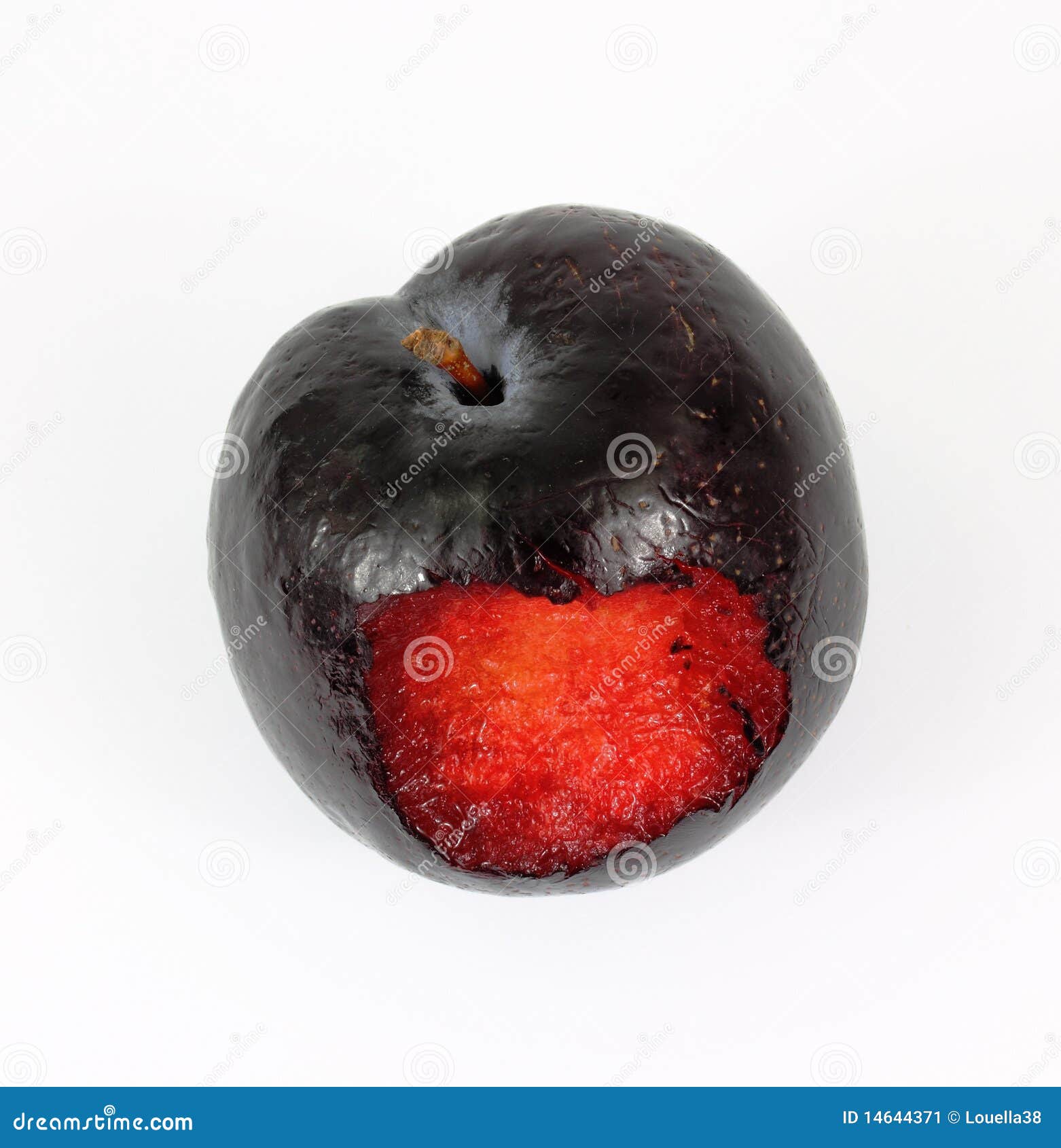 My Image 14