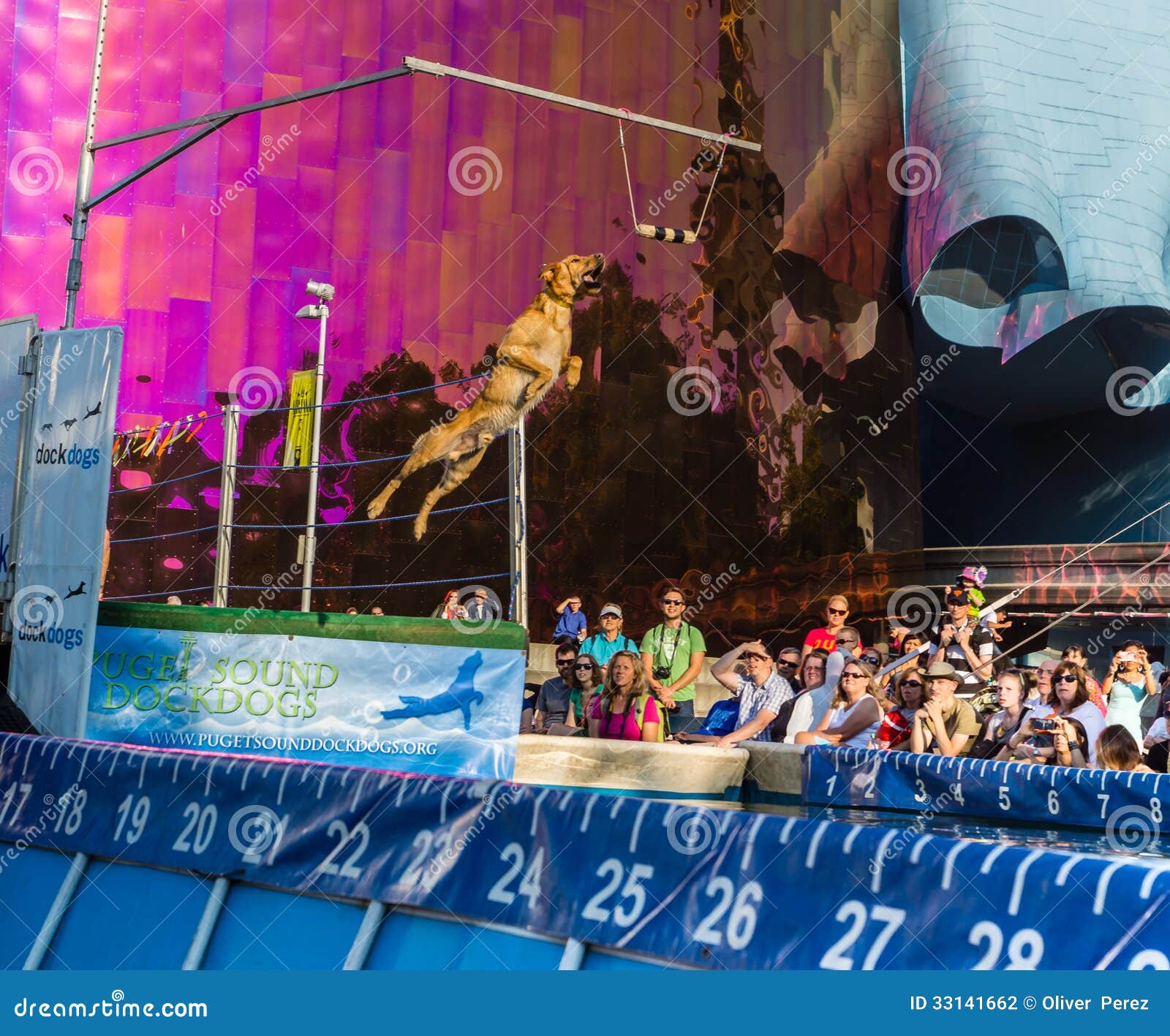 Bite of Seattle Dock Dogs editorial photography. Image of carnival 33141662