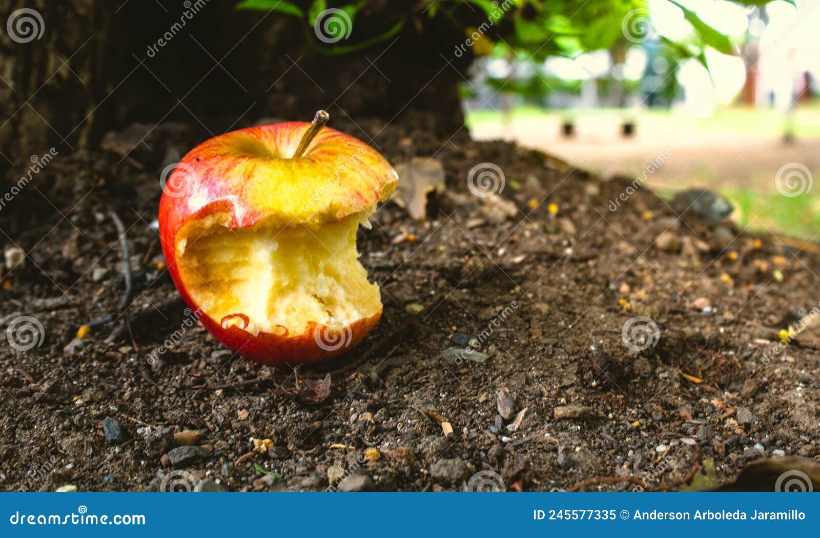 bitten apple lying on the ground with dirt outdoors