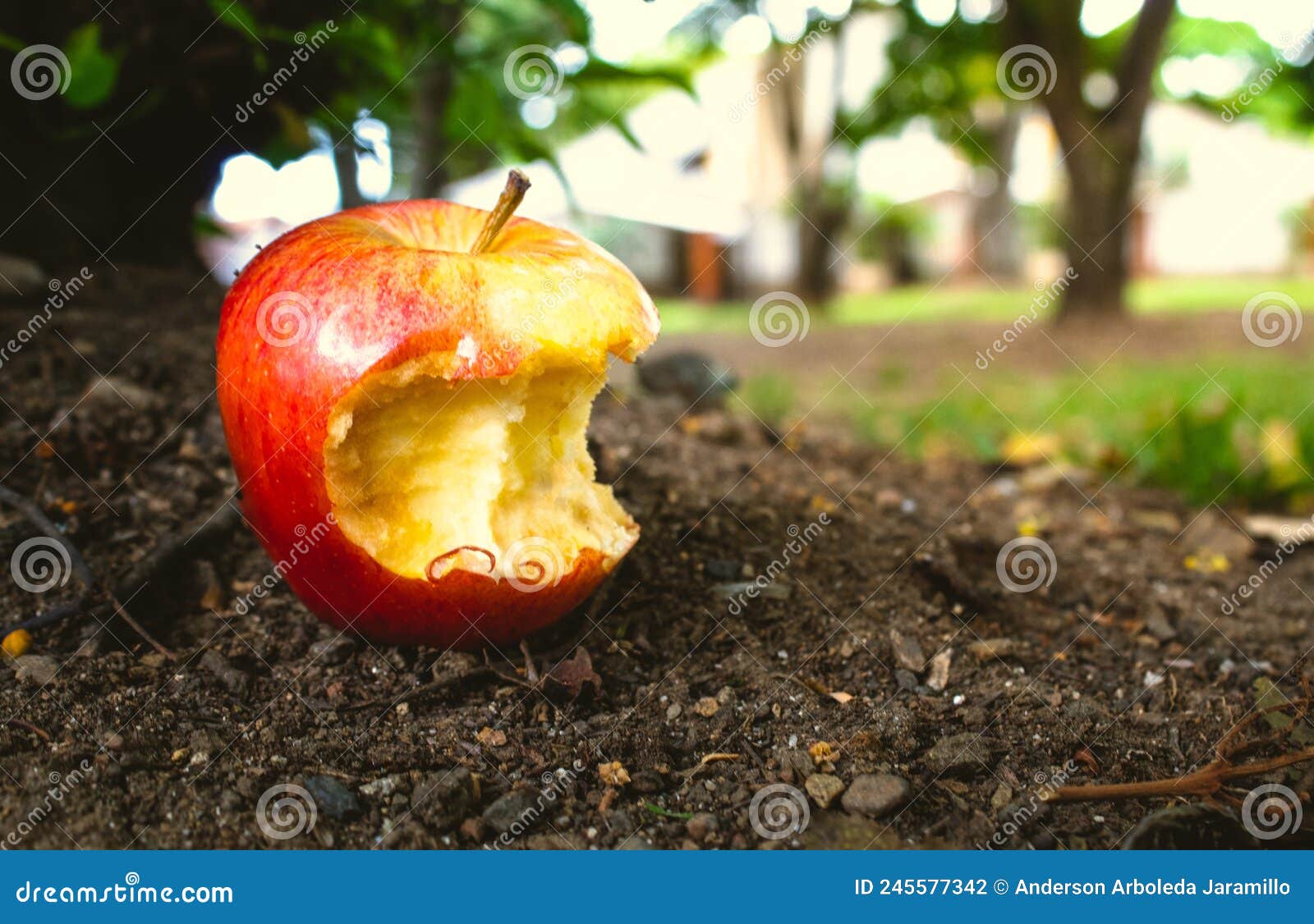 bitten apple lying on the ground with dirt outdoors