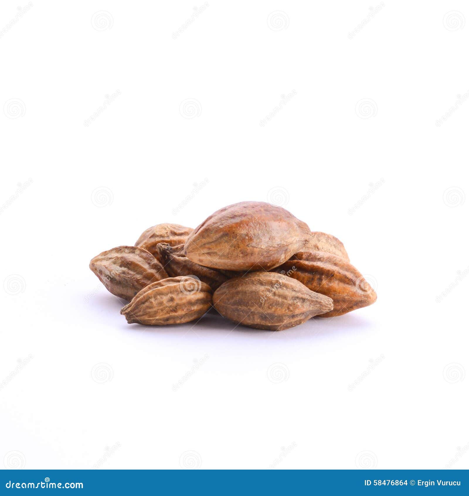 bitter almond - prunus amygdalus var.amara