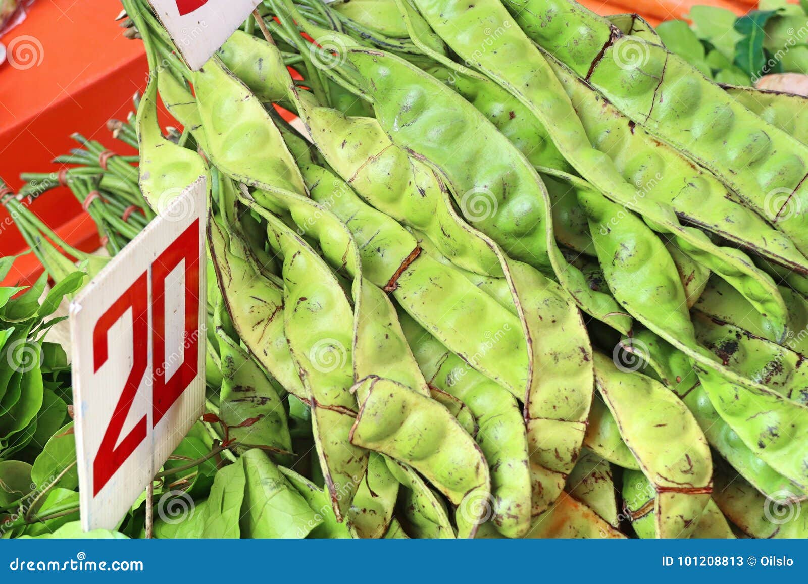 Bitter bean stock image. Image of asian, cuisine, exotic 101208813