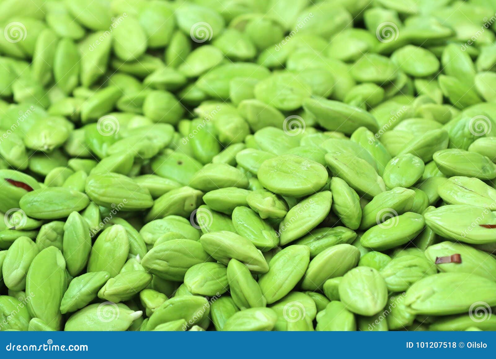 Bitter bean stock photo. Image of asian, market, nutrition 101207518