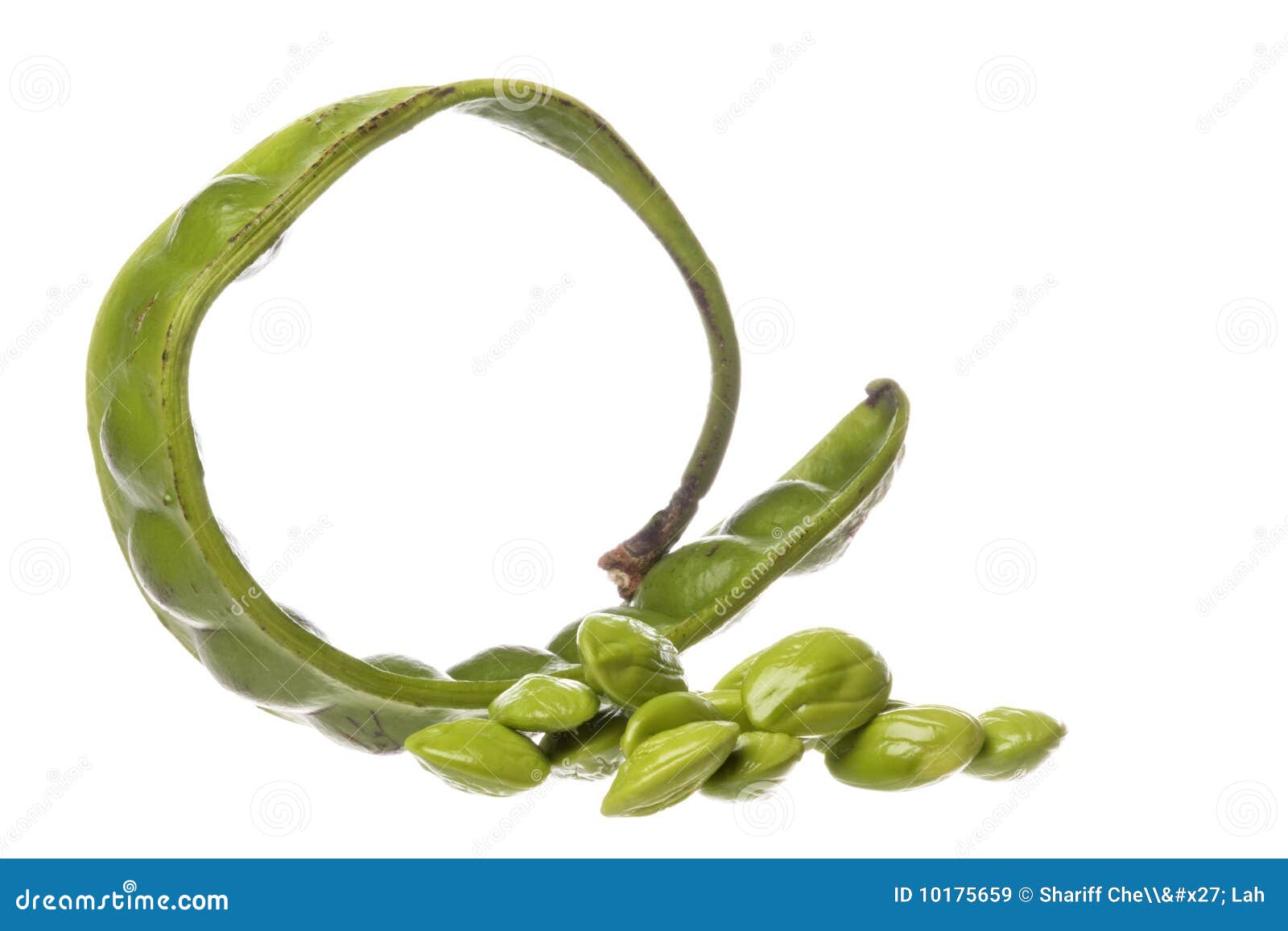Bitter Beans Isolated stock image. Image of vegetable 10175659