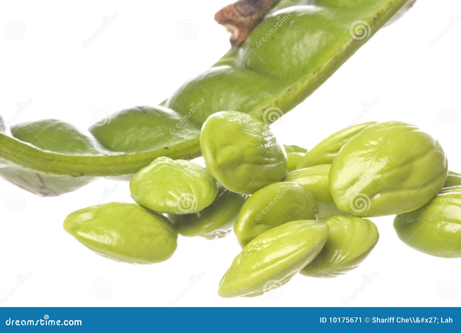 Bitter Beans Isolated stock image. Image of vegetables 10175671