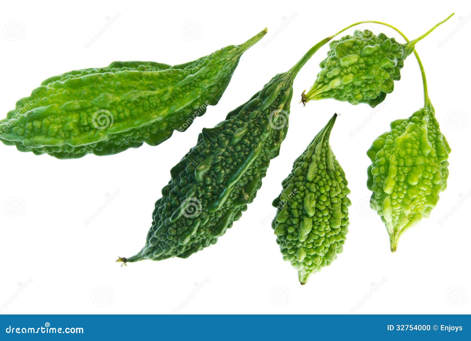 Bitter cucumber on white. stock photo. Image of healthy 32754000