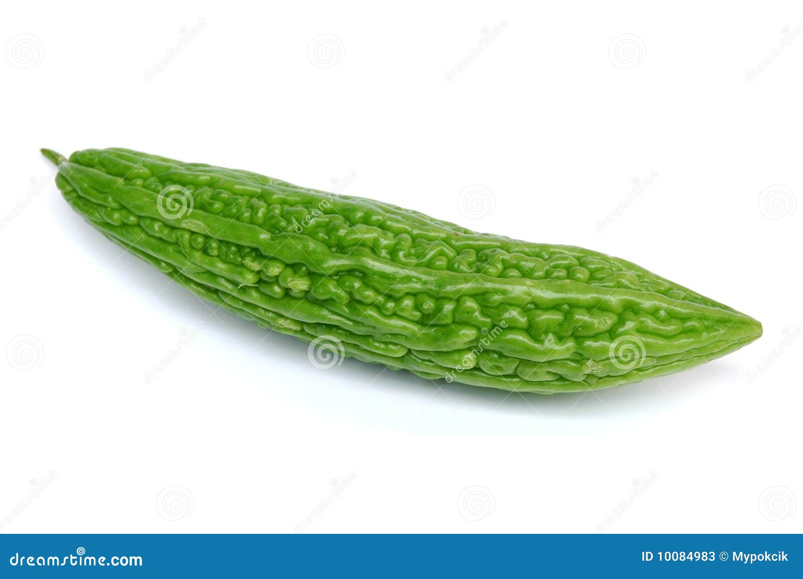 Bitter gourd stock image. Image of india, fiber, food 10084983