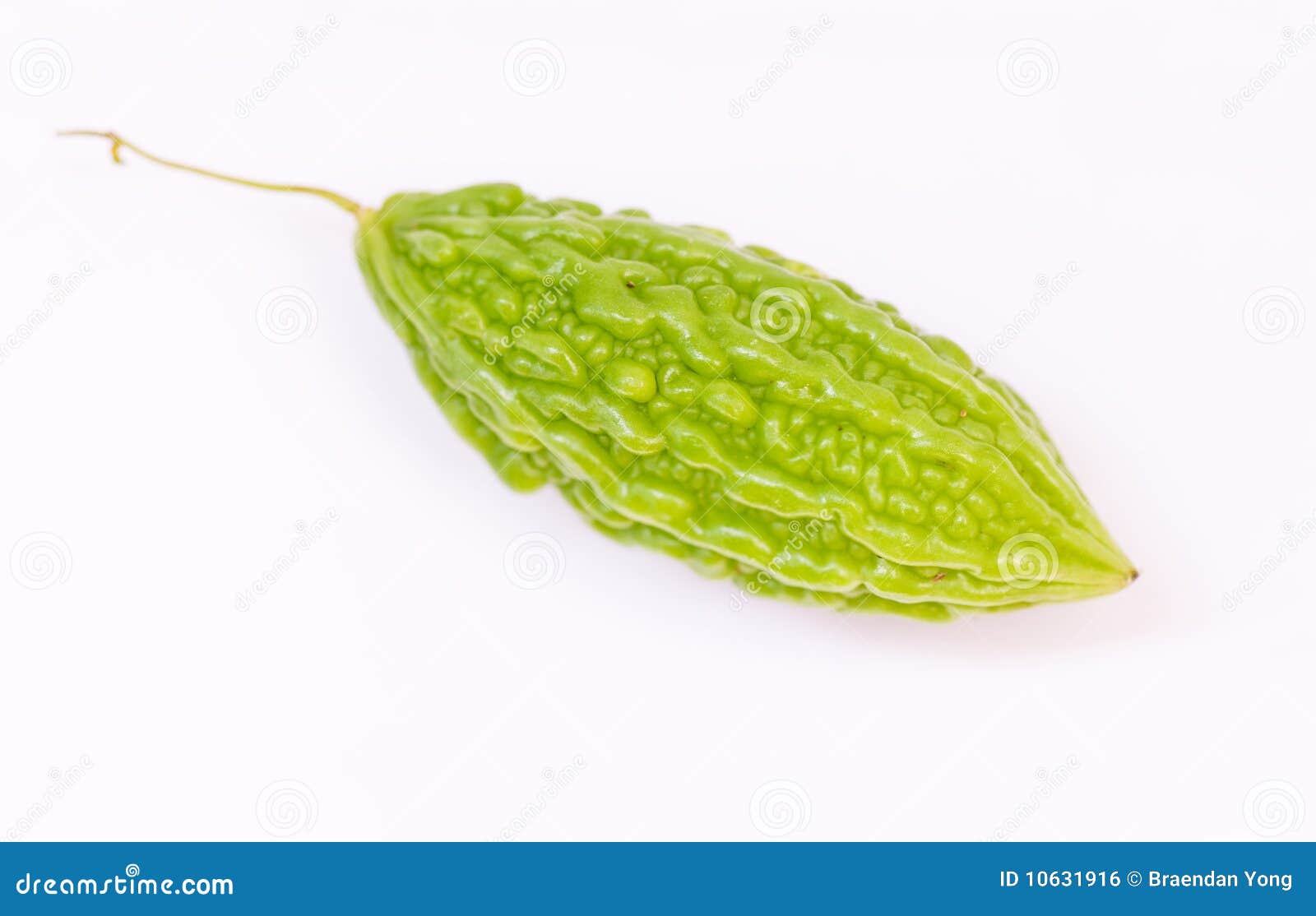 Bitter gourd stock photo. Image of mellon, organic, vegetable 10631916