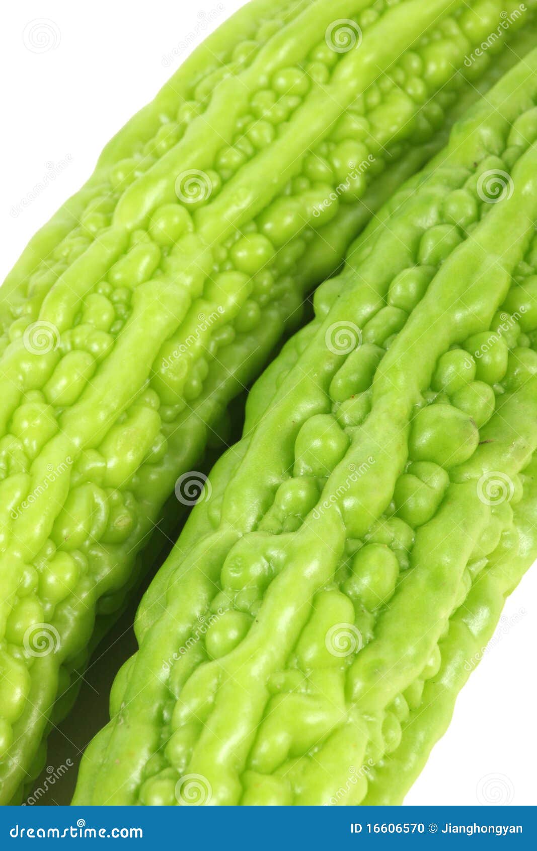 Bitter gourd stock photo. Image of nutrition, nature 16606570