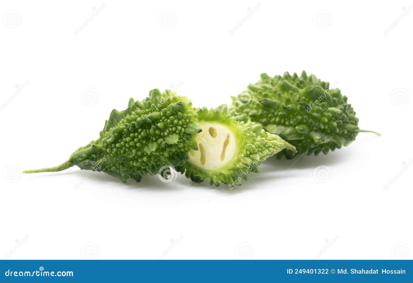 Bitter Gourd Slices and Whole Isolated on White Background Stock Photo
