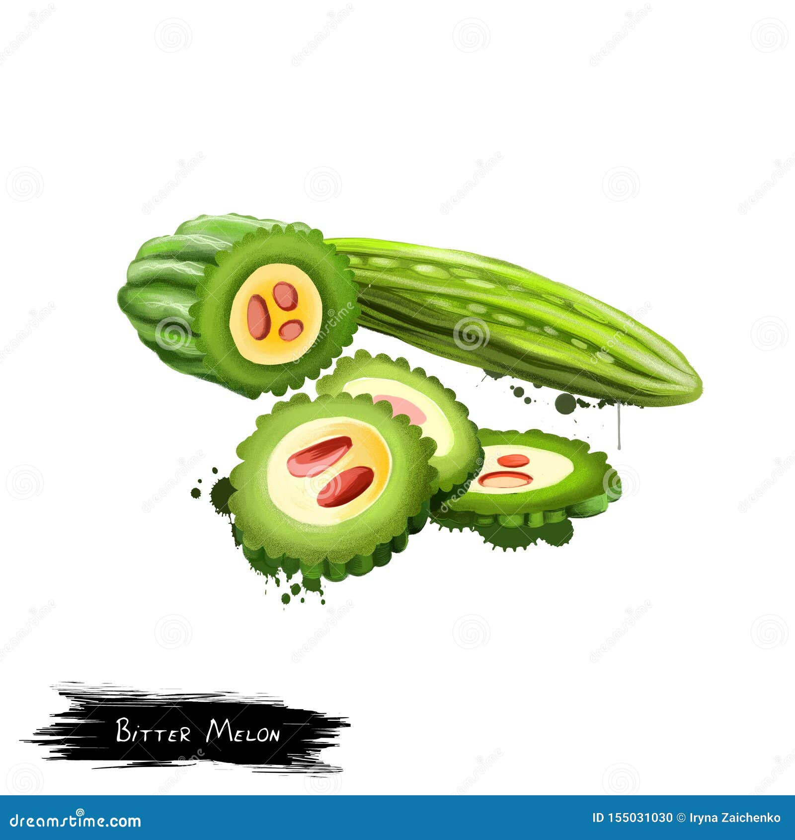 Bitter Gourd Stock Illustrations – 462 Bitter Gourd Stock Illustrations,  Vectors & Clipart - Dreamstime