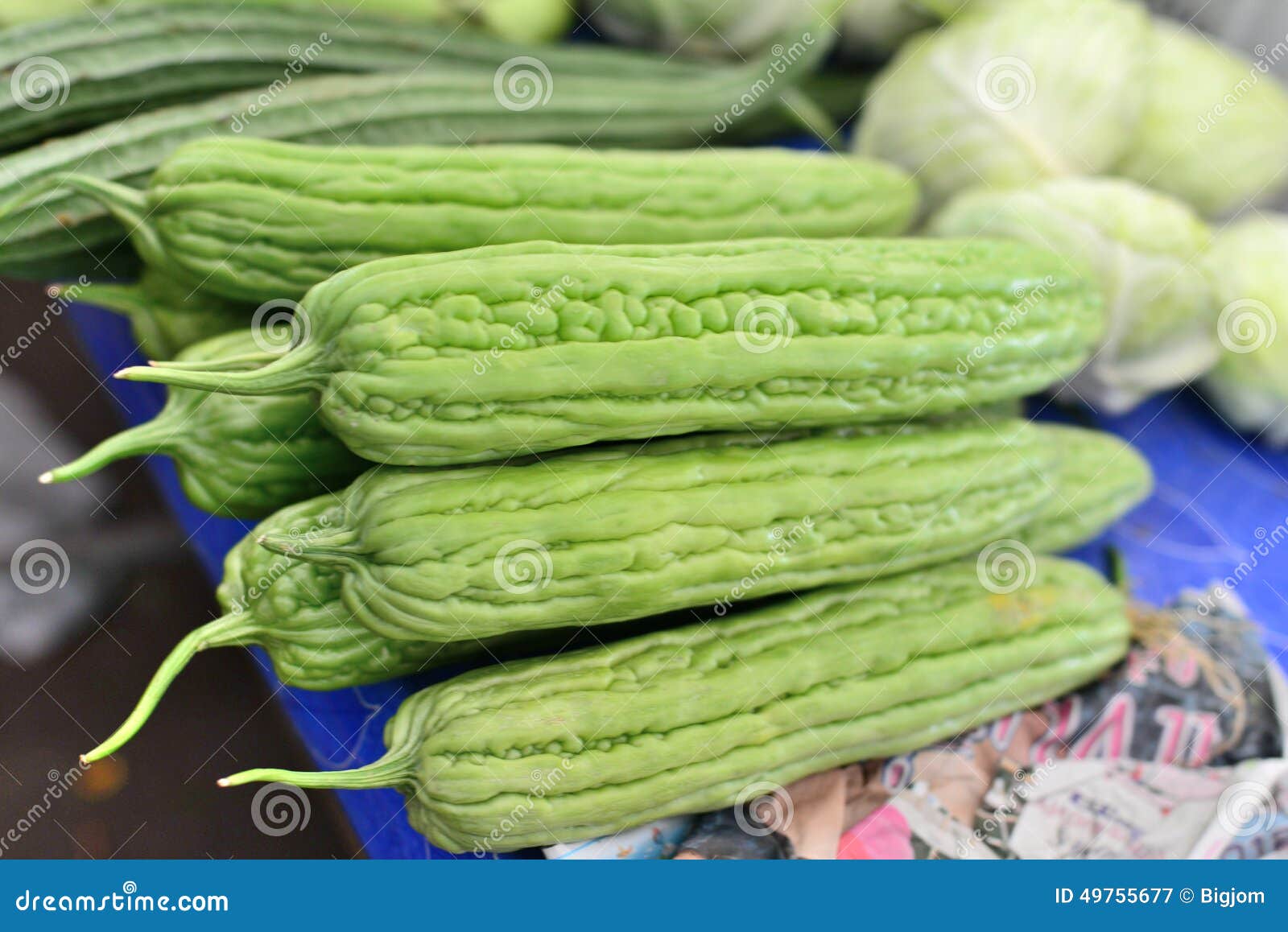 Bitter Melon, for sale stock image. Image of food, ampalaya 49755677