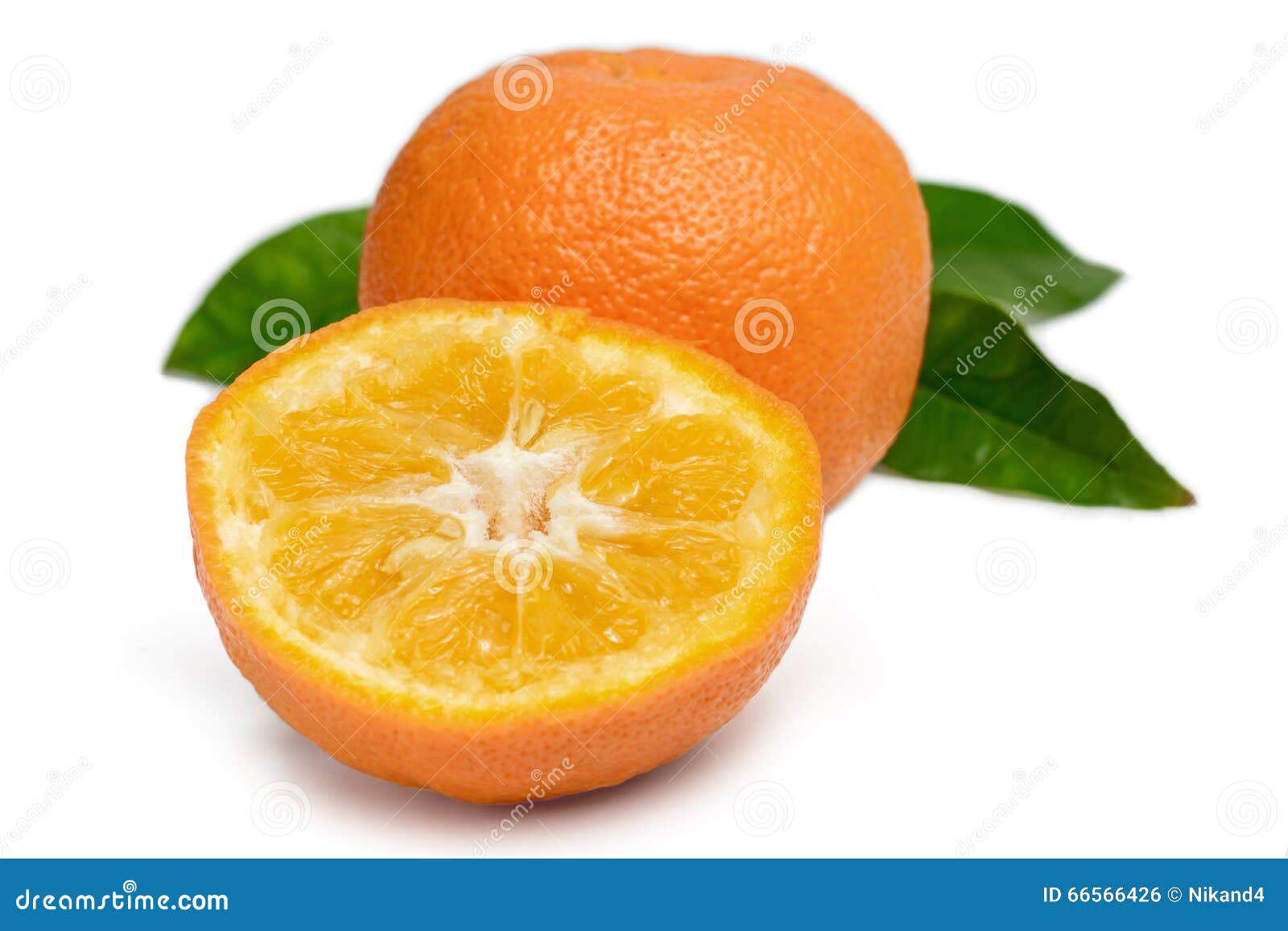 Bitter Orange stock photo. Image of halved, ripe, juice 66566426