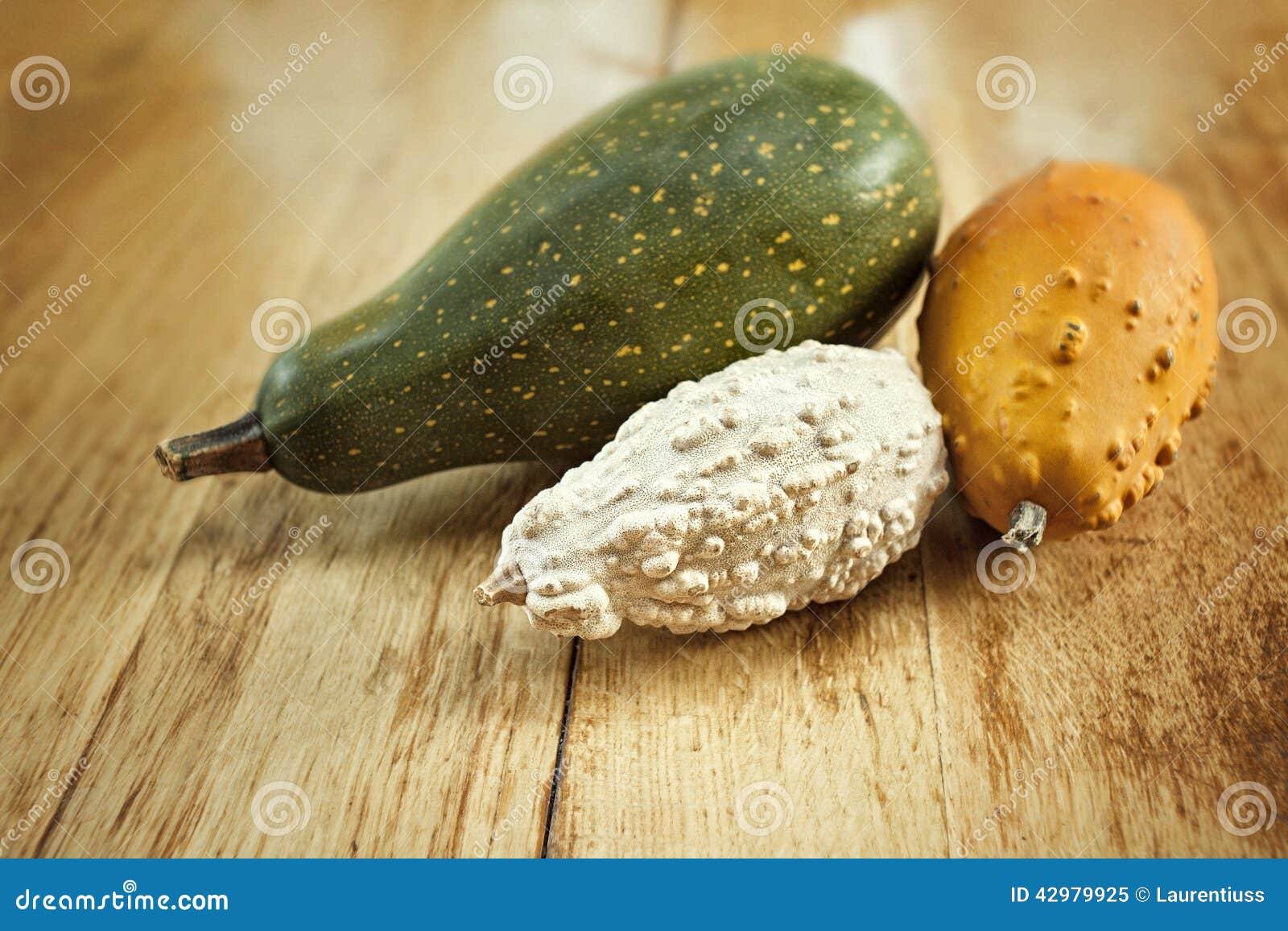 Bitter squash zucchini stock image. Image of vegetarian 42979925