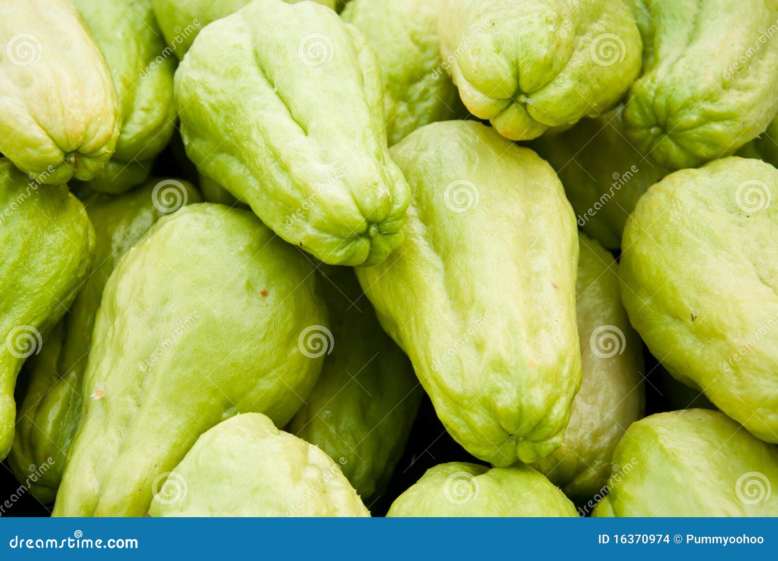 Bitter sweet fruit stock photo. Image of cooking, light 16370974