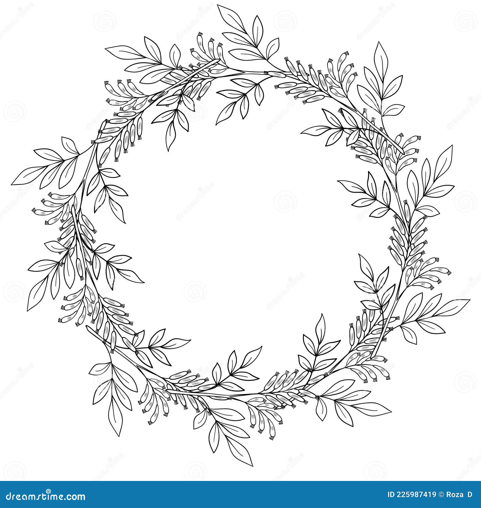 Bitter-wood, Frame, Border Dd Ww Herb Isol Stock Vector - Illustration ...